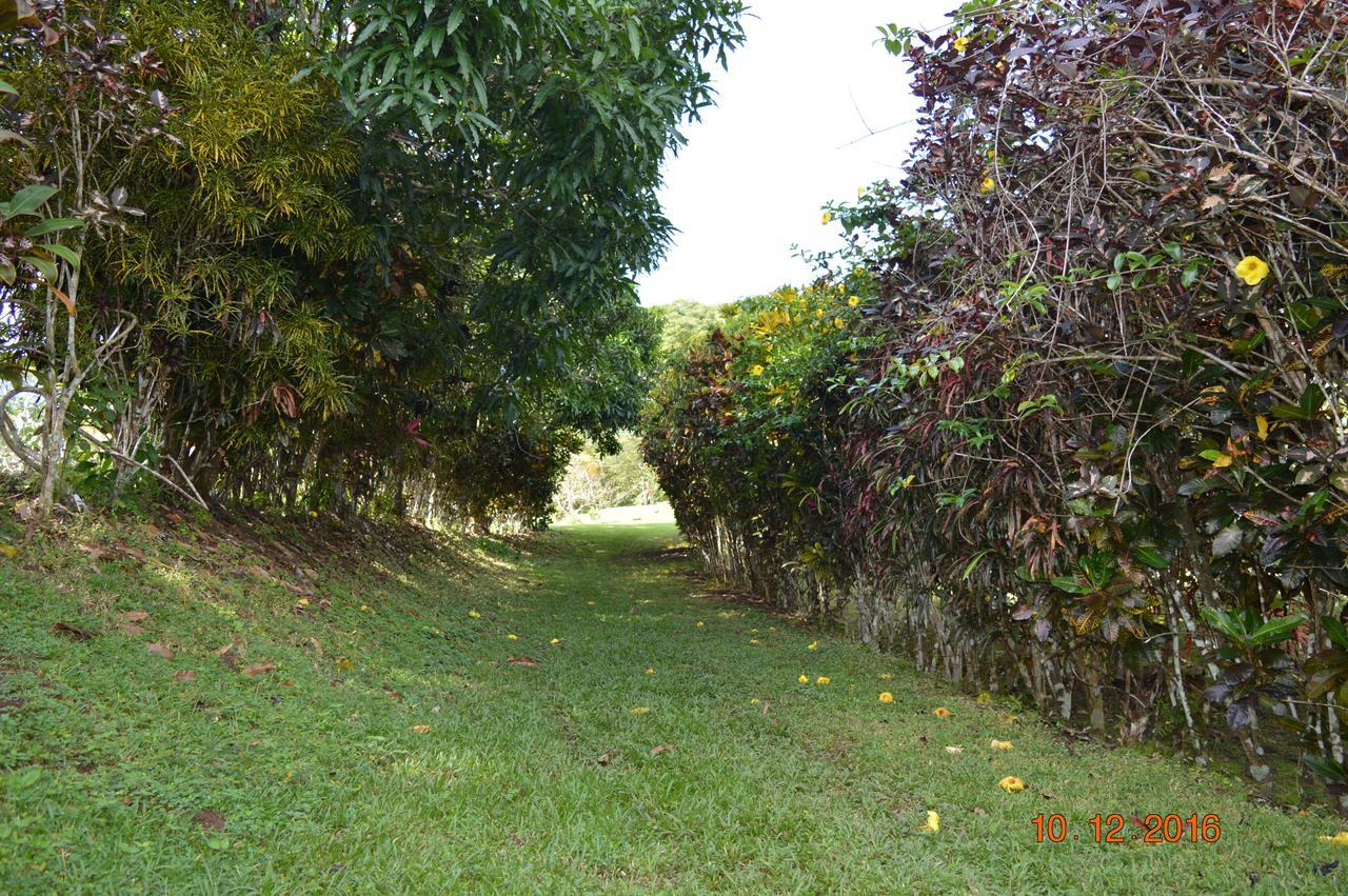 Jodokus Inn Montezuma Exterior foto